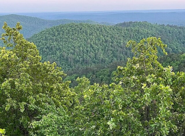 UNK Polk Rd Unit 615, Mena, AR 71953