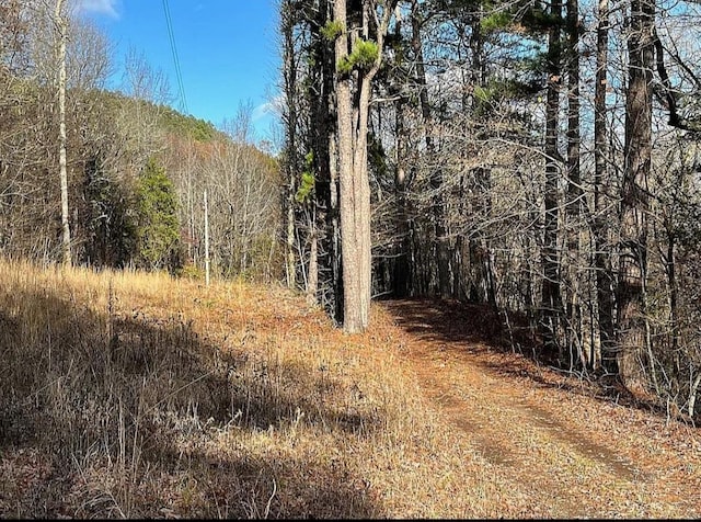 UNK Polk Rd Unit 615, Mena, AR 71953