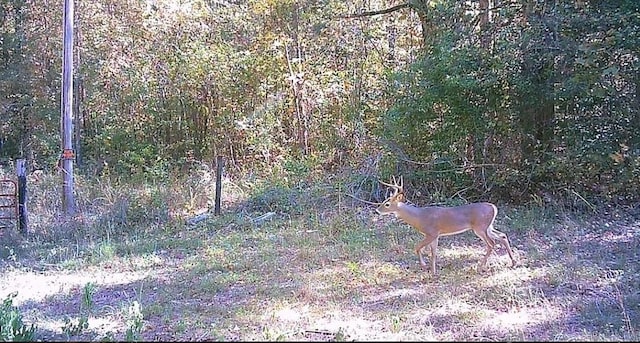 UNK Polk Rd Unit 615, Mena, AR 71953