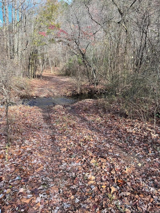 UNK Polk Rd Unit 615, Mena, AR 71953