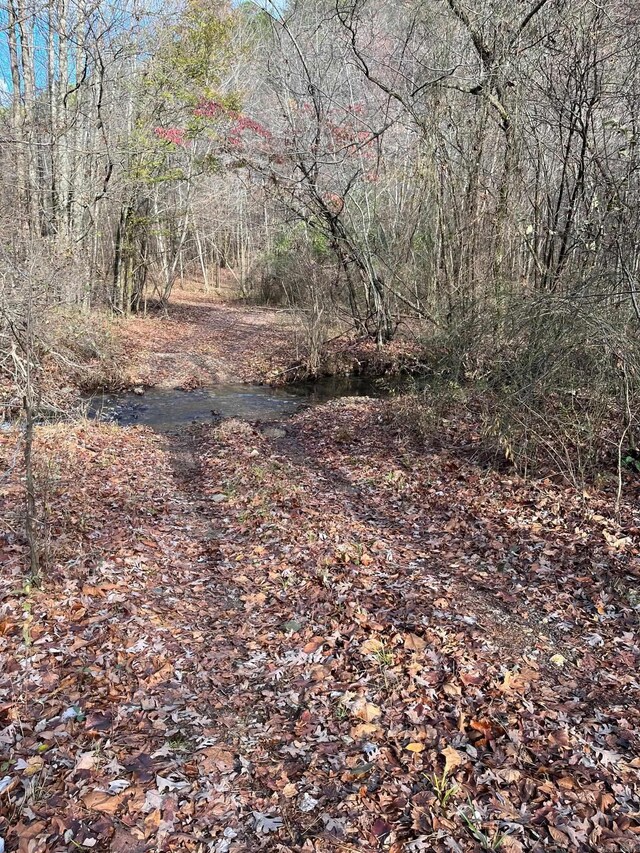 UNK Polk Rd Unit 615, Mena, AR 71953
