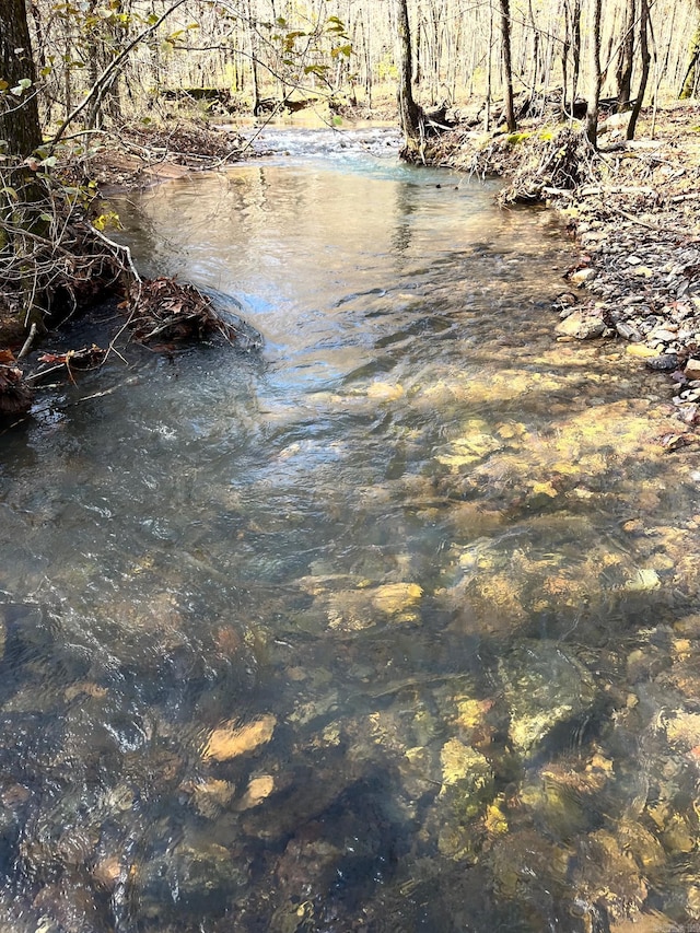 UNK Polk Rd Unit 615, Mena, AR 71953