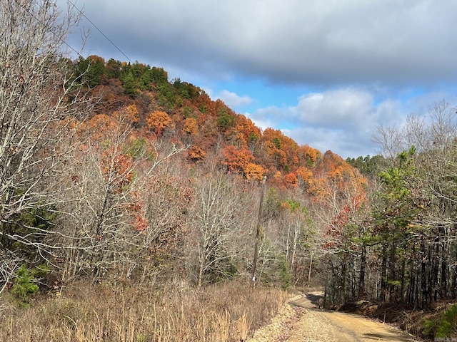 UNK Polk Rd Unit 615, Mena, AR 71953