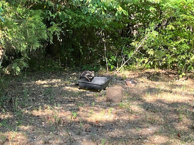 UNK Polk Rd Unit 615, Mena, AR 71953