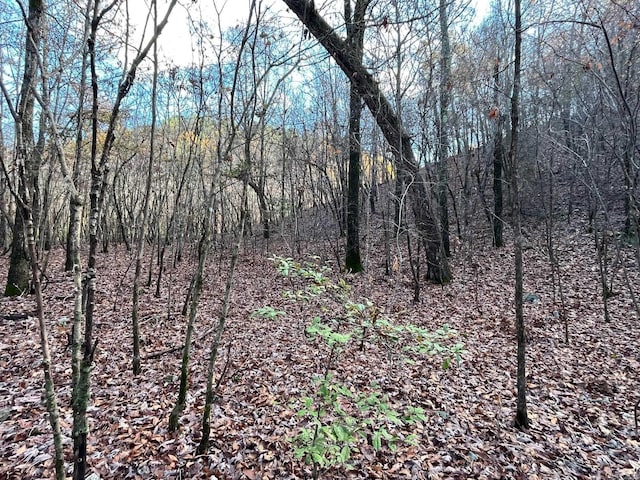 UNK Polk Rd Unit 615, Mena, AR 71953