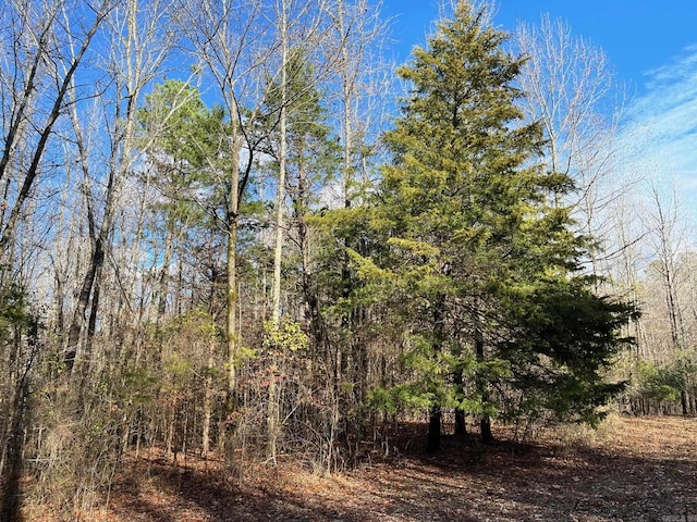 UNK Polk Rd Unit 615, Mena, AR 71953