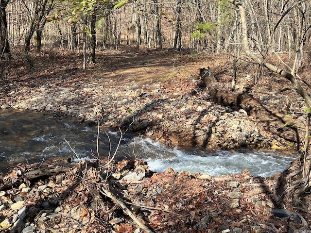 UNK Polk Rd Unit 615, Mena, AR 71953