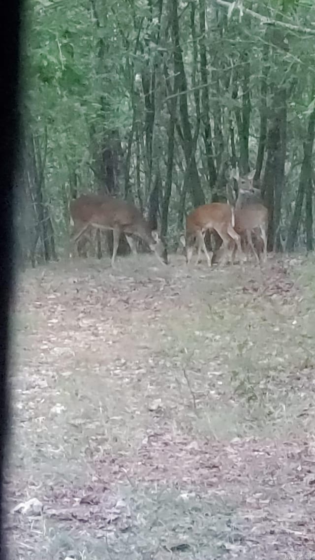 UNK Polk Rd Unit 615, Mena, AR 71953