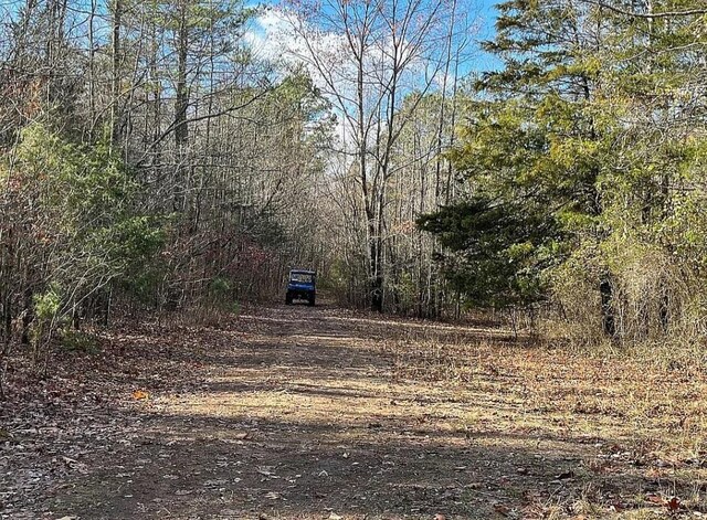 UNK Polk Rd Unit 615, Mena, AR 71953