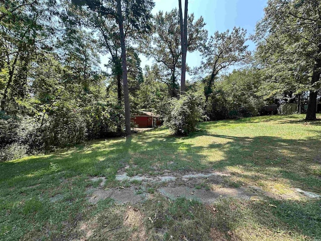 view of yard with a shed