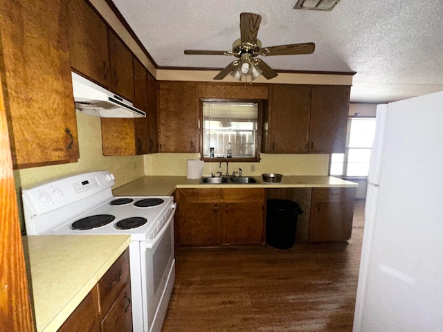 kitchen with dark hardwood / wood-style floors, sink, white range with electric stovetop, a textured ceiling, and ceiling fan