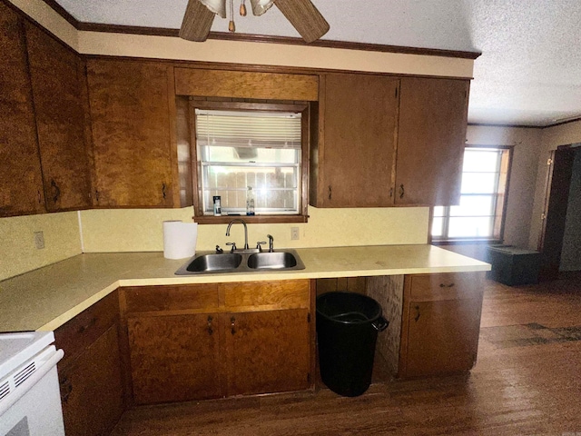 kitchen with sink, dark wood-type flooring, a textured ceiling, ceiling fan, and stove