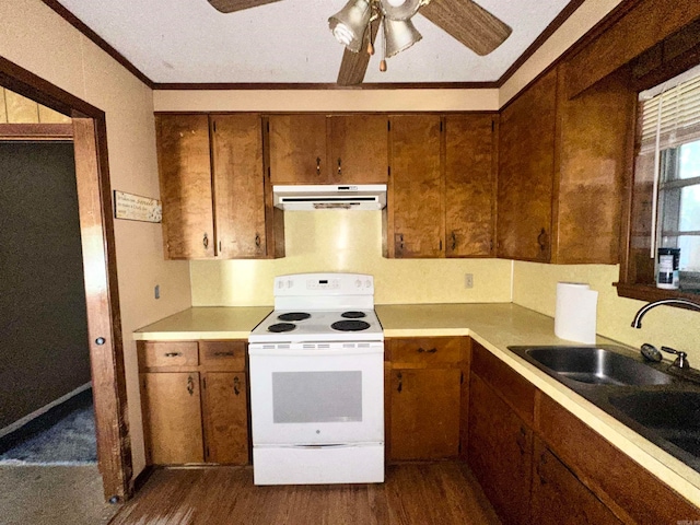 kitchen featuring sink, ornamental molding, electric range, dark carpet, and ceiling fan