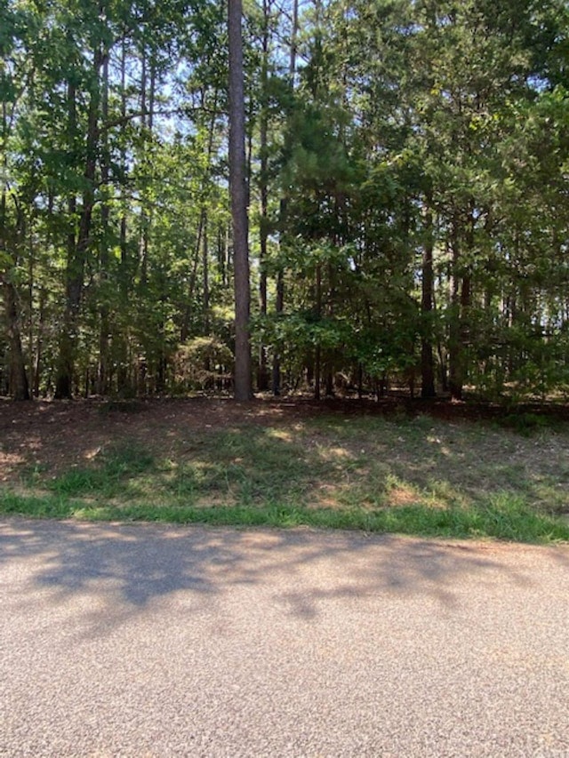 335 Grand Isle Dr, Fairfield Bay AR, 72088 land for sale