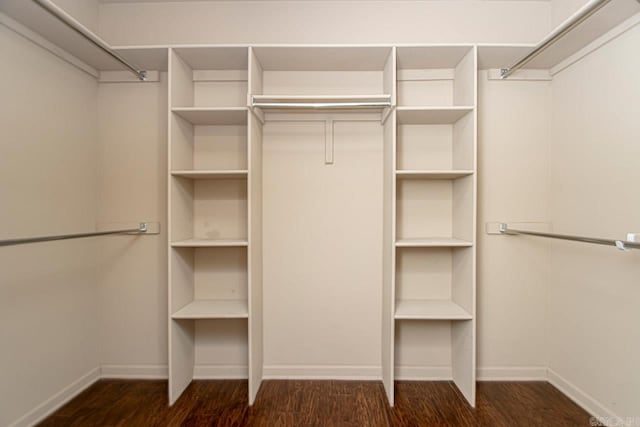 spacious closet featuring dark hardwood / wood-style flooring