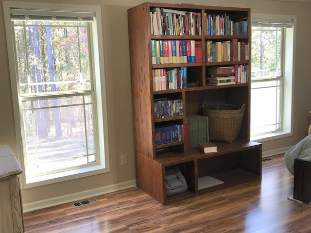 office featuring plenty of natural light and hardwood / wood-style flooring