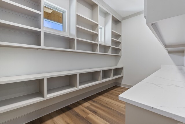 spacious closet featuring wood-type flooring