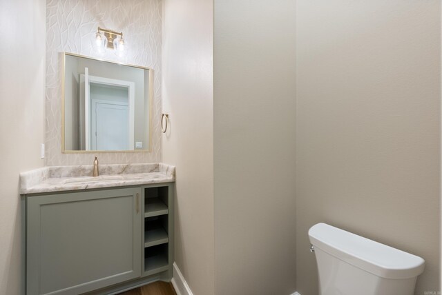 bathroom featuring toilet, vanity, and wood-type flooring