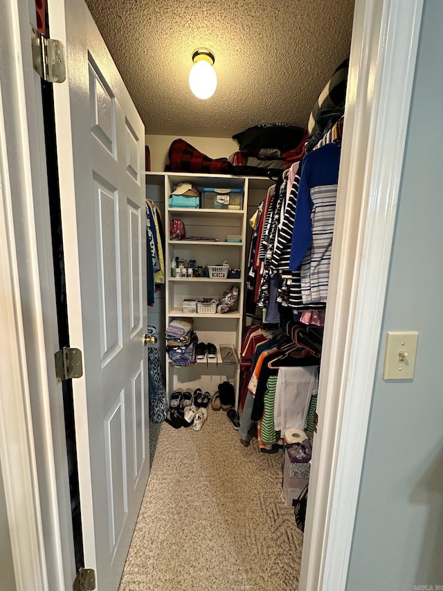 spacious closet featuring carpet flooring