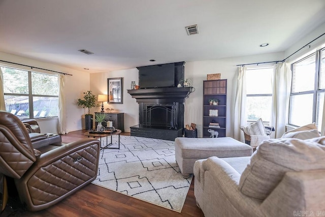 living room featuring hardwood / wood-style flooring and a healthy amount of sunlight