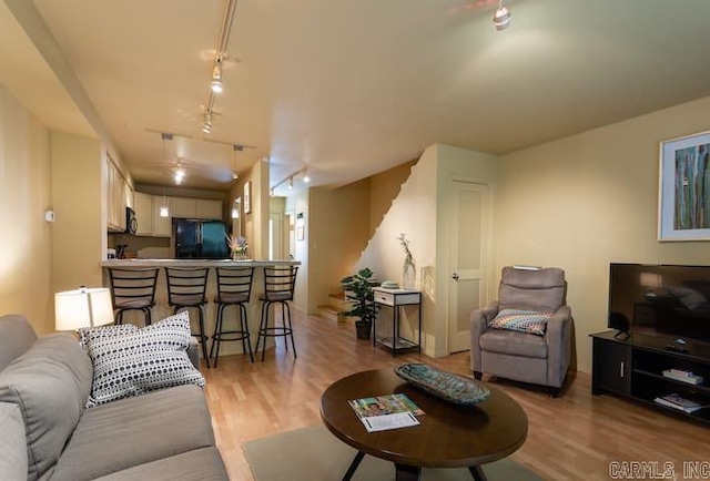 living room featuring light hardwood / wood-style floors and rail lighting