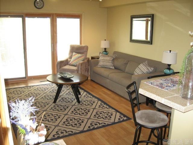 living room featuring a healthy amount of sunlight and hardwood / wood-style flooring