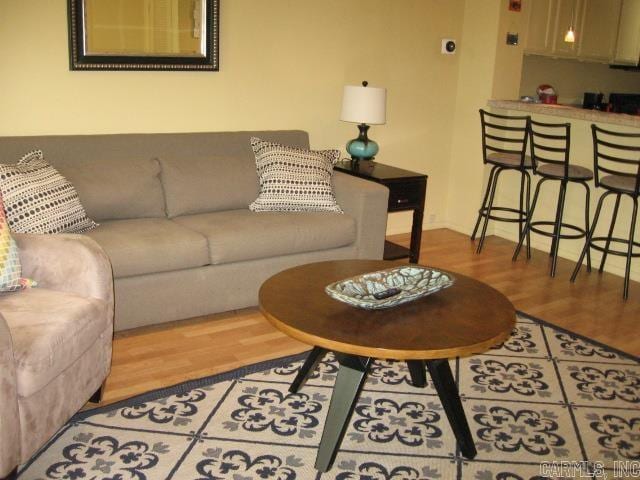 living room featuring hardwood / wood-style flooring