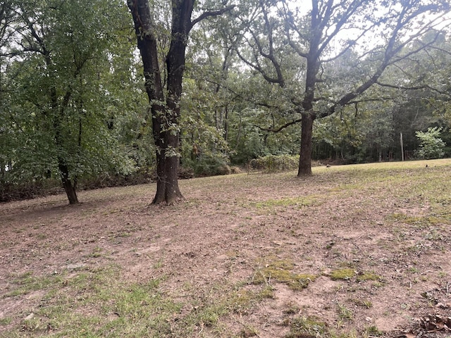 view of local wilderness featuring a forest view