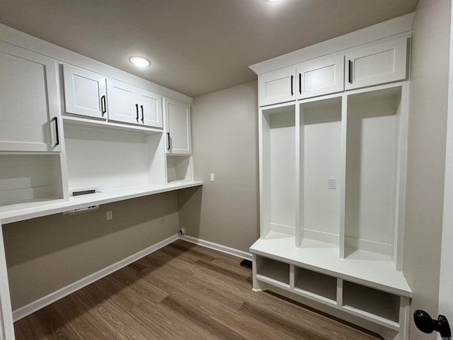 mudroom featuring dark hardwood / wood-style floors