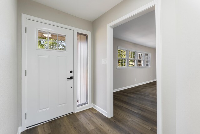 foyer featuring a notable chandelier and dark hardwood / wood-style floors