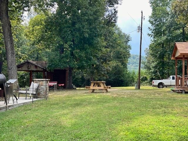 view of yard featuring a patio