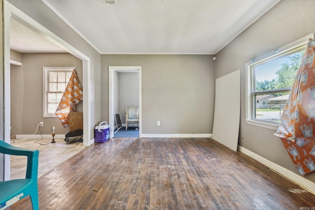 interior space with a healthy amount of sunlight and wood-type flooring