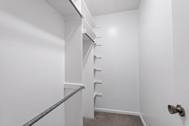 spacious closet with carpet flooring