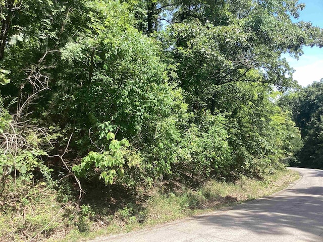 Address Not Disclosed, Ozark Acres AR, 72482 land for sale