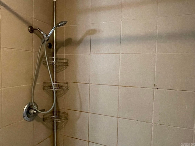 interior details featuring a tile shower