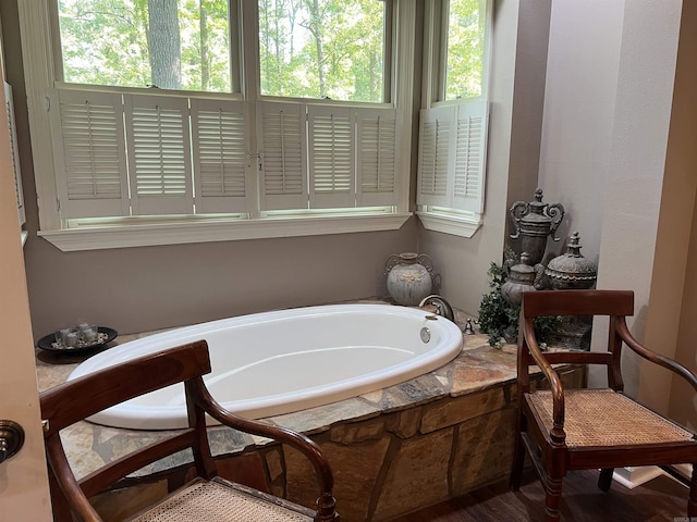 bathroom with a healthy amount of sunlight and a garden tub