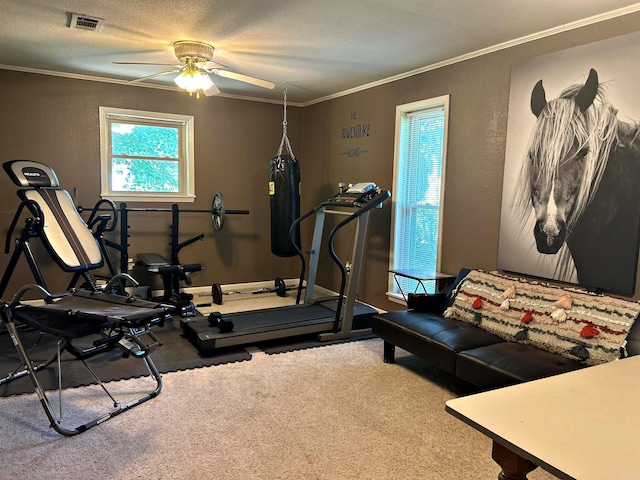 workout area with ceiling fan, crown molding, a textured ceiling, and carpet floors