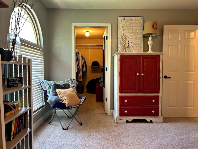 interior space with light colored carpet