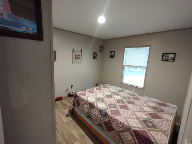 bedroom featuring wood-type flooring