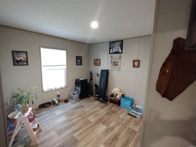 miscellaneous room with light hardwood / wood-style flooring