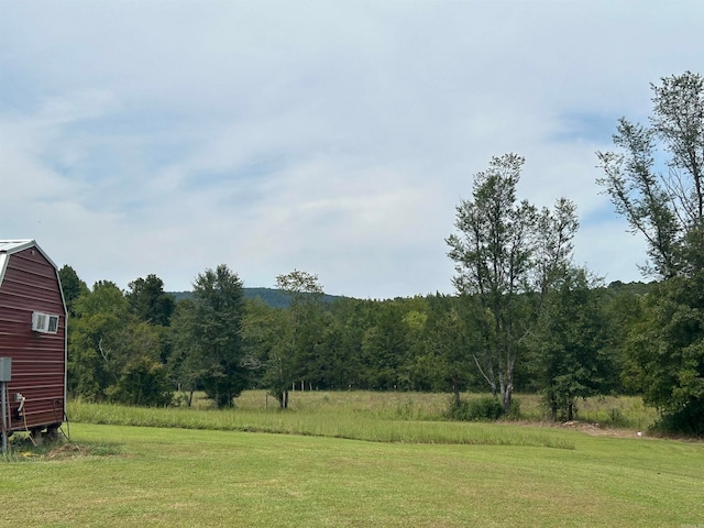 view of yard featuring a rural view