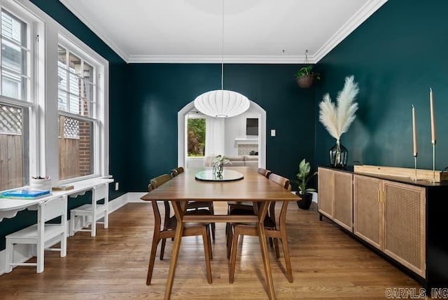 dining space with crown molding and hardwood / wood-style flooring