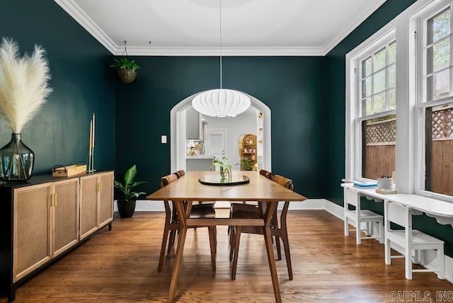 dining room featuring crown molding and hardwood / wood-style floors