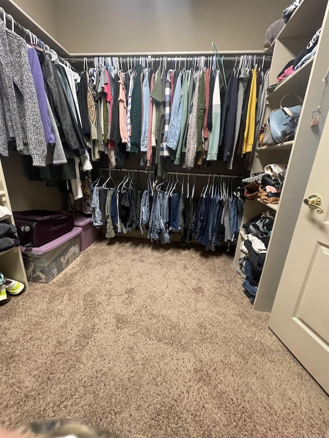 spacious closet with carpet