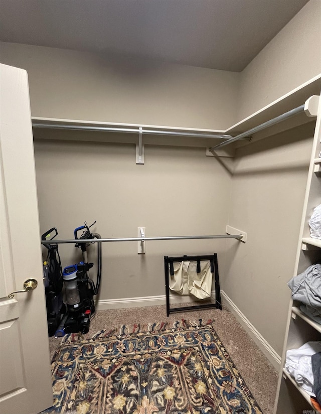 spacious closet featuring carpet flooring