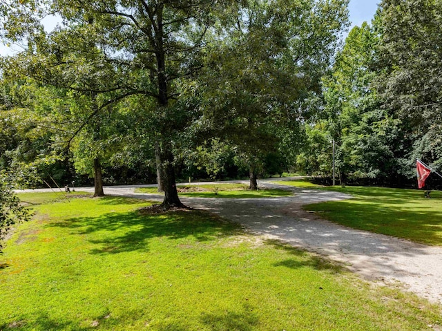 exterior space with a lawn