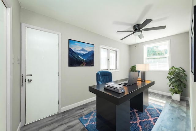 office with ceiling fan and dark hardwood / wood-style flooring