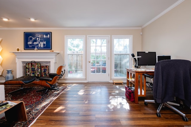 office area featuring dark hardwood / wood-style floors and crown molding