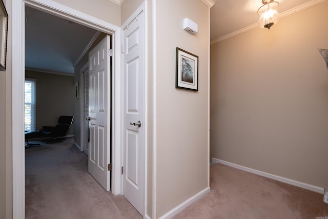 corridor with carpet floors and crown molding