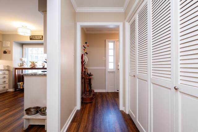 hall with ornamental molding and dark hardwood / wood-style flooring